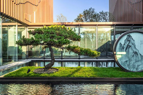 建筑设计哪家好 山东建筑设计 山东大道园林质量保证