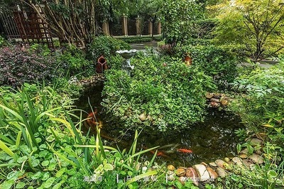 #技能#花园设计改造施工景观园林绿化工程设计施工