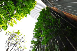 广州万科峯境建筑设计