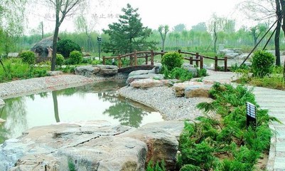 绿化一角