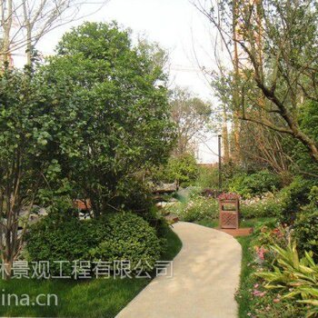 上海虹口筑山园林苗木供应绿化租赁