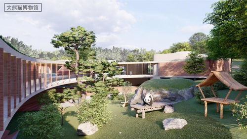 北京大熊猫科研繁育基地开建 预计2024年开放
