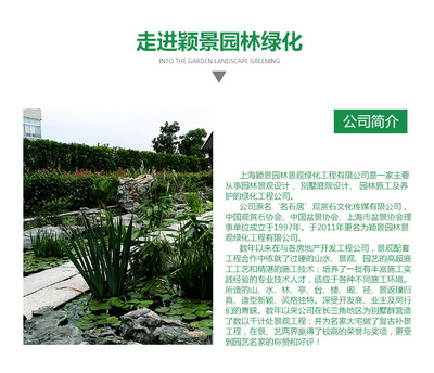 黄蜡石天然景观石