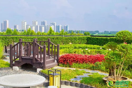 五代住宅千余棵园林珍稀树种已到,绿化 工程并行