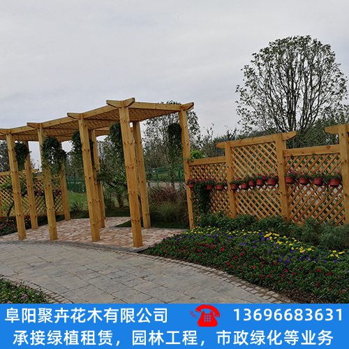 太和花卉批发市场企业推荐