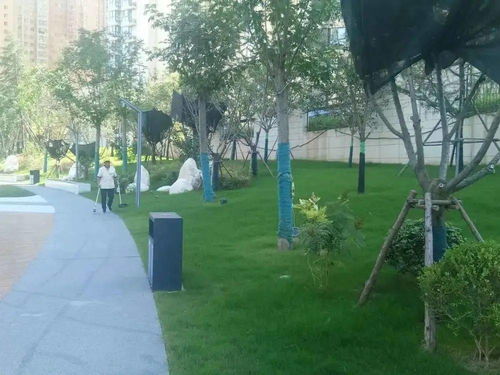 聚焦 快来打卡 建装公司打造西安市网红公园